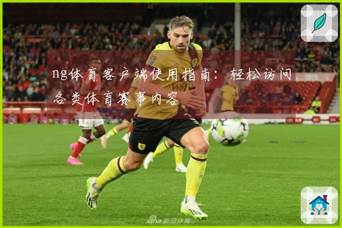 ng体育客户端使用指南：轻松访问各类体育赛事内容
