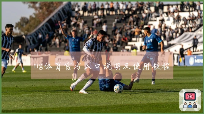 ng体育官方入口说明及使用教程