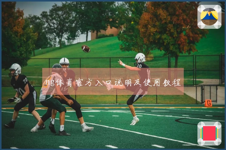 ng体育官方入口说明及使用教程
