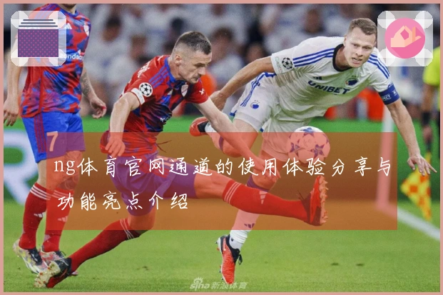 ng体育官网通道的使用体验分享与功能亮点介绍
